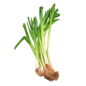 Leeks Organic (GTE)
