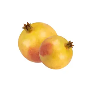 Pomegranate Organic (GTE)