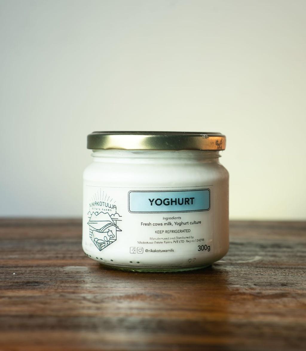 Plain Yoghurt GFOL (GTE)