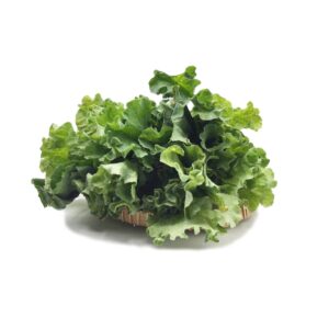 Kale Organic (GTE)