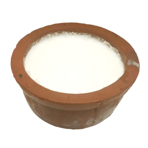 Curd RENU (GTE) - Image 2