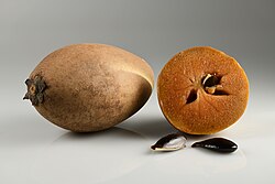 Sapodilla Organic