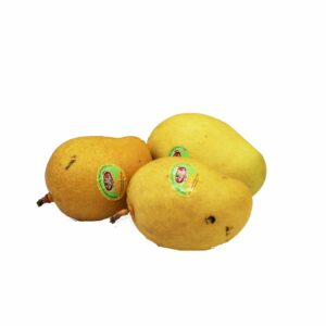 Organic TJC Mango  (GTE)