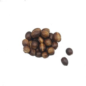 Organic Nutmeg Whole Bulk WILD (GTE)