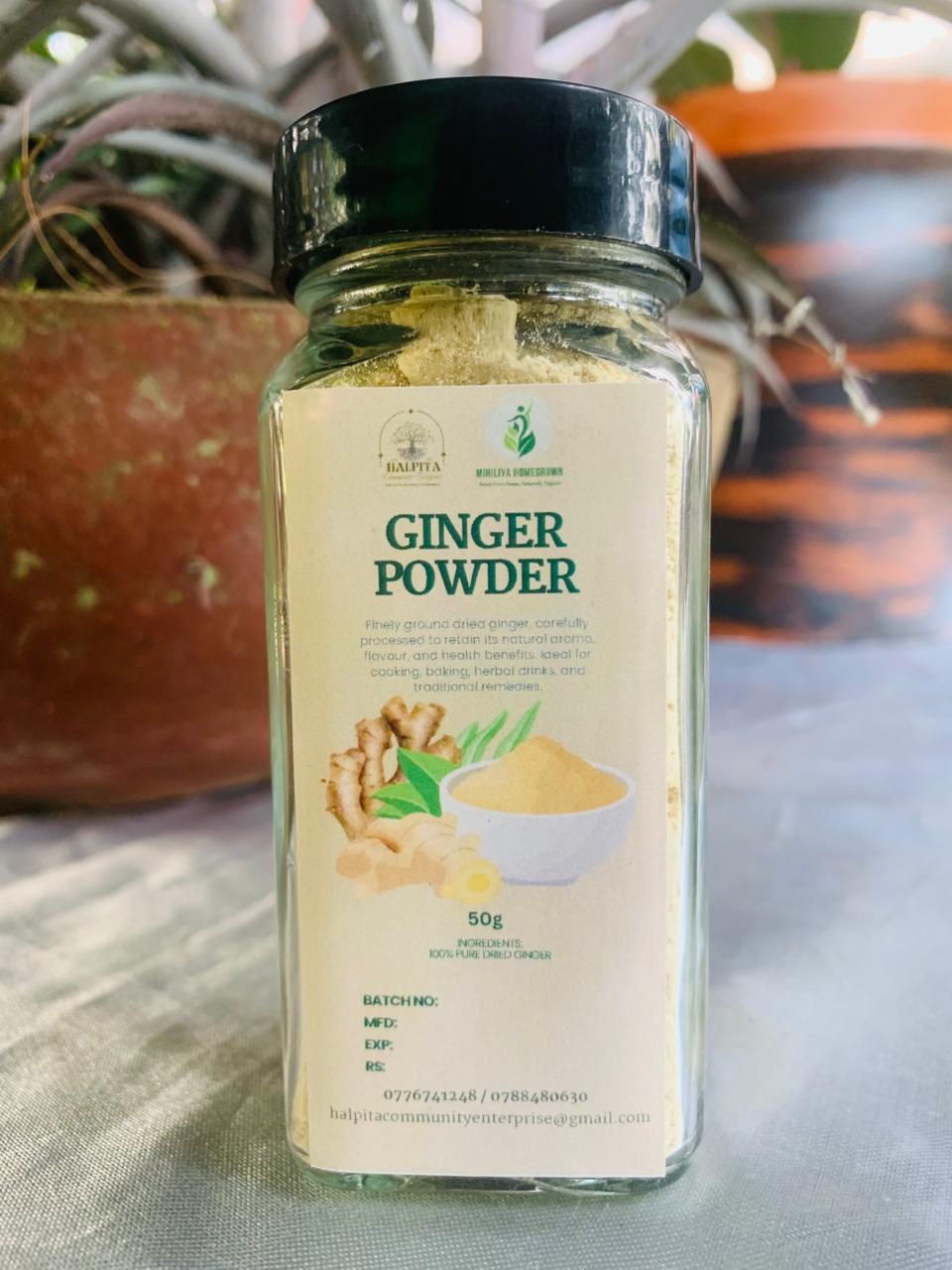 Ginger Powder HALP (GTE)