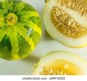 Organic Melon ( Kekiri )