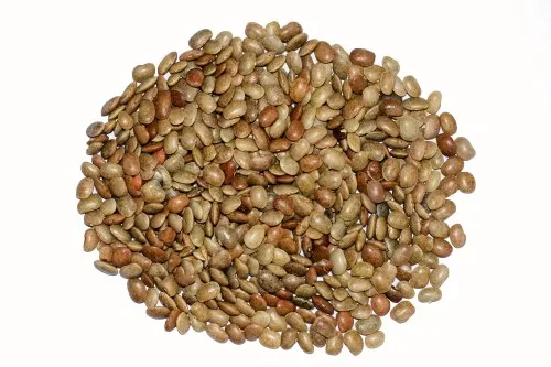Kollu Seed Bulk (Horse gram)JAYA