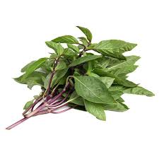 Thai basil THIN (GTE)