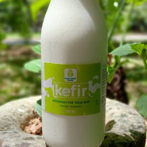Kefir Plain  CHUF Large