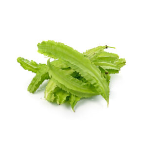 Wing beans  Organic (GTE)