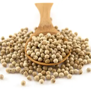 Organic White Pepper seeds Bulk WILD (GTE)