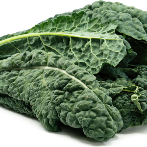 Tuscan Kale Organic  (GTE)
