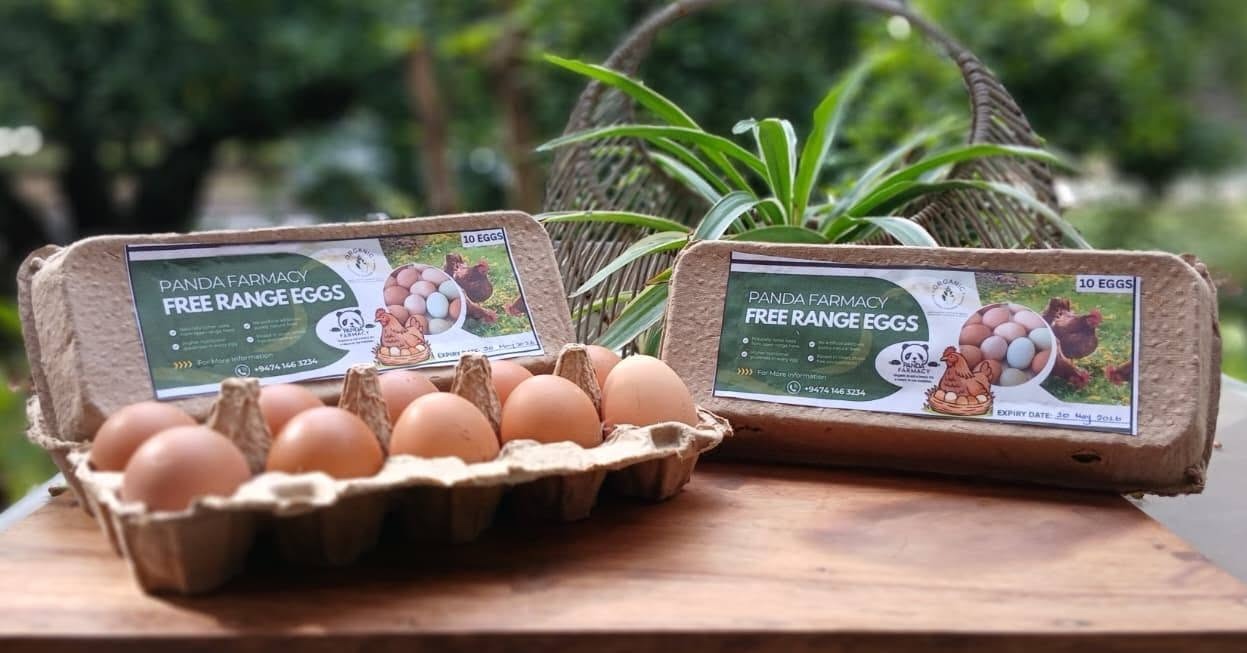 Free range Eggs PAND (GTE)